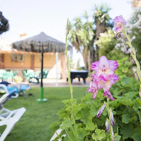 Benalmadena Estudio